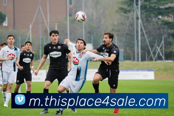 用户互动社区